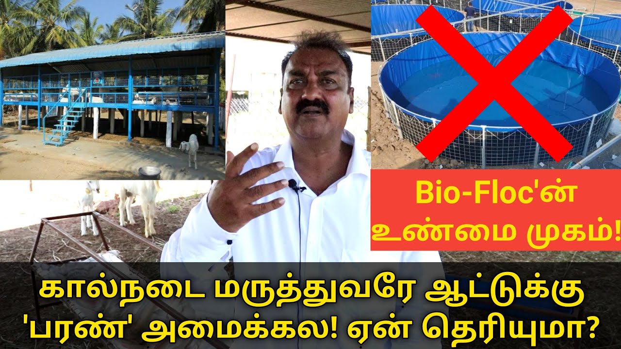ஆட்டு பண்ணைக்கு பரண் போடபோறிங்களா? Bio Floc - என்னதான் நடக்குது