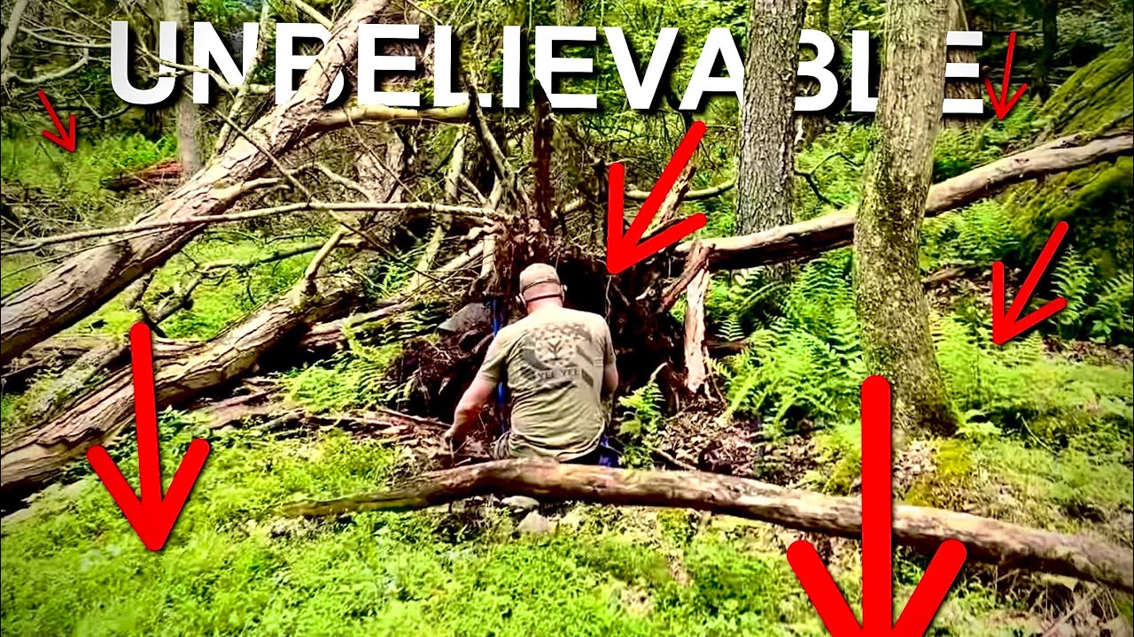 We FOUND a STUNNING TREASURE TROVE Deep in ANCIENT FOREST!