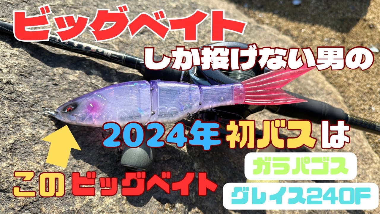 ビッグベイトしか投げない男の2024年初バスはこのビッグベイト！【ガラパゴス】【グレイス240F】【バス釣り】
