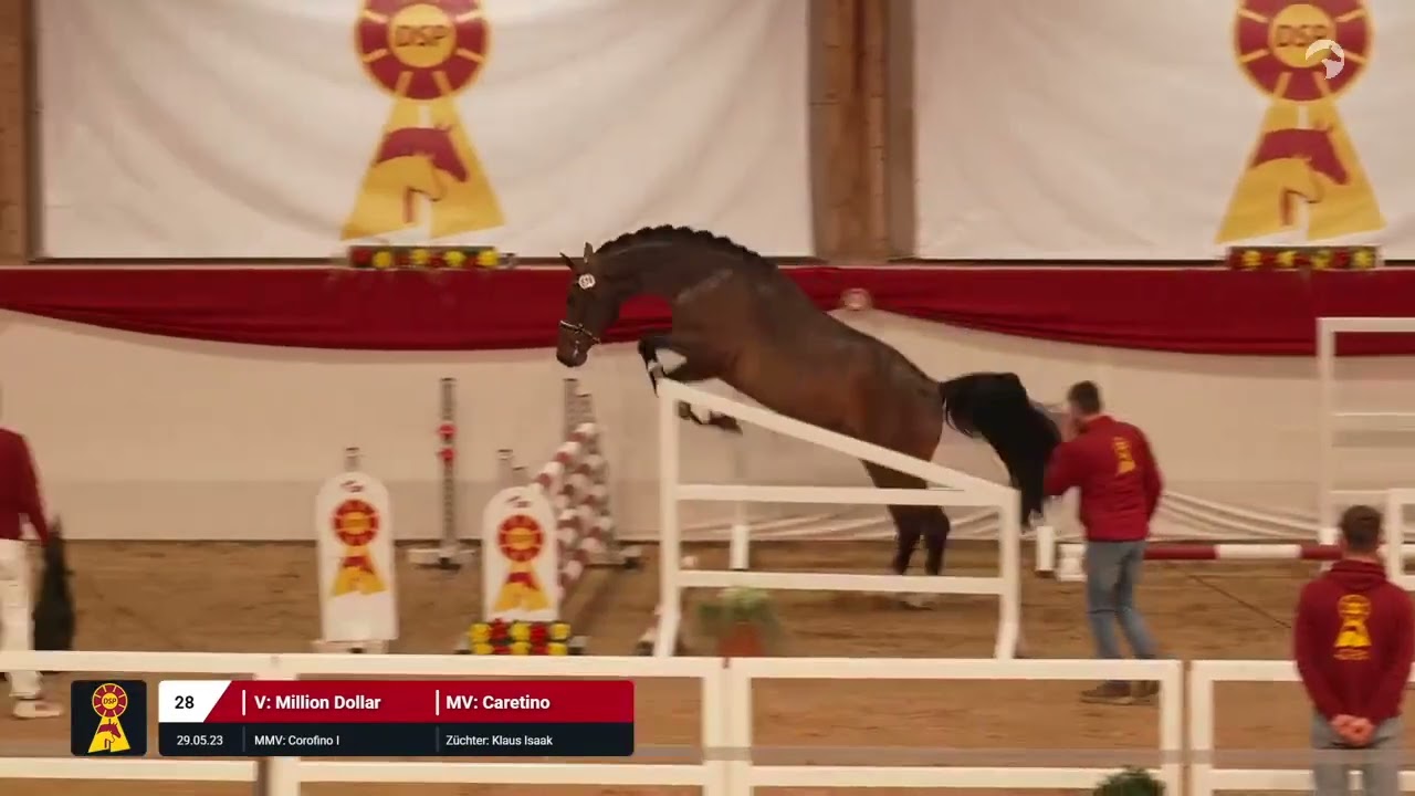 Lot 28 v. Million Dollar / Caretino