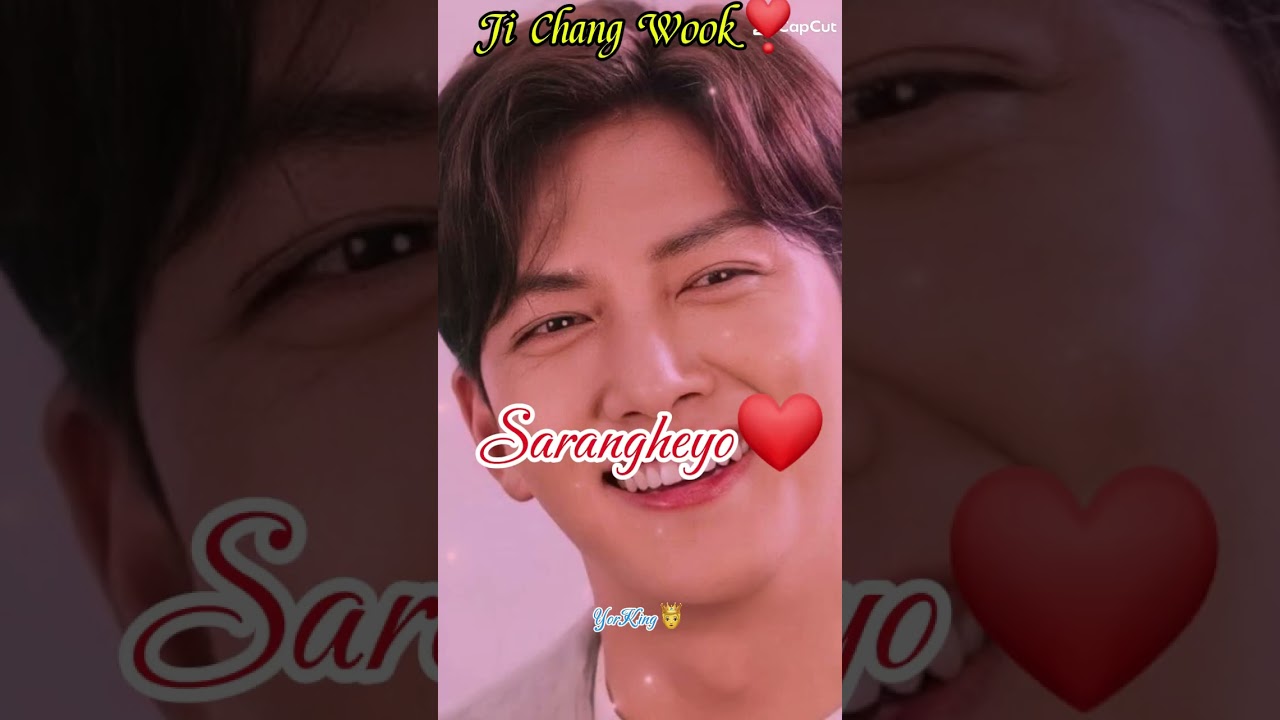Sarangheyo Ji ChangWook #jichangwook #jcw #wookie #love  #saranghae #sarangheyo #yorking #mv #song #