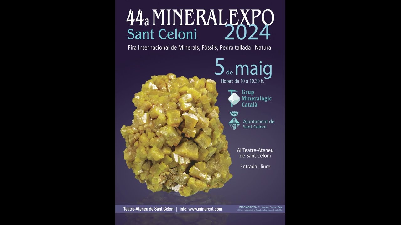 Mineralexpo Sant Celoni 2024 #visitando #feria de #minerales y #fosiles #minerals #exhibition