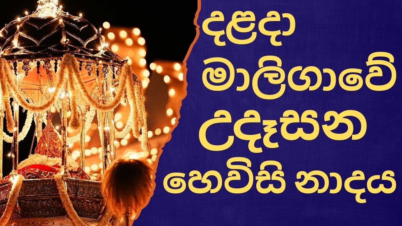 දළදා මාලිගාවේ සවස් තේවා හේවිසි – හදවත පිරිසිදු කරන නාදය 🎵 SIRI DALADA THEWA HEVISI NADAYA