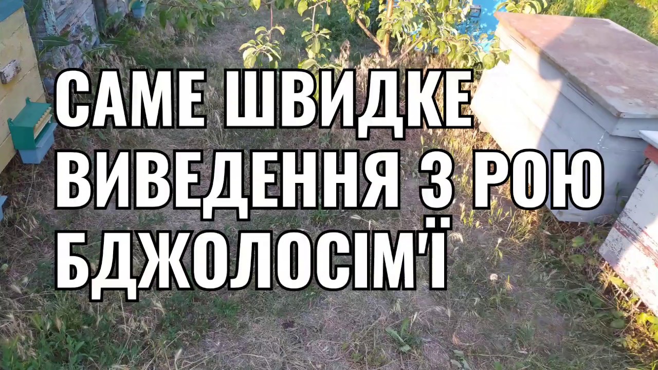 САМЕ ШВИДКЕ ВИВЕДЕННЯ З РОЮ БДЖОЛОСІМ'Ї