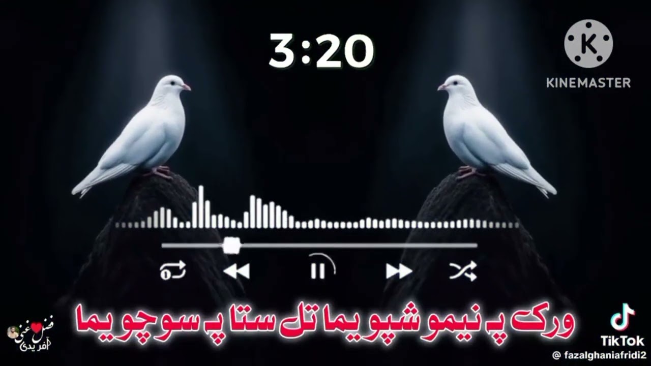 نیو پروفیشنل نعت شریف ہماری چینل فولوکریں 