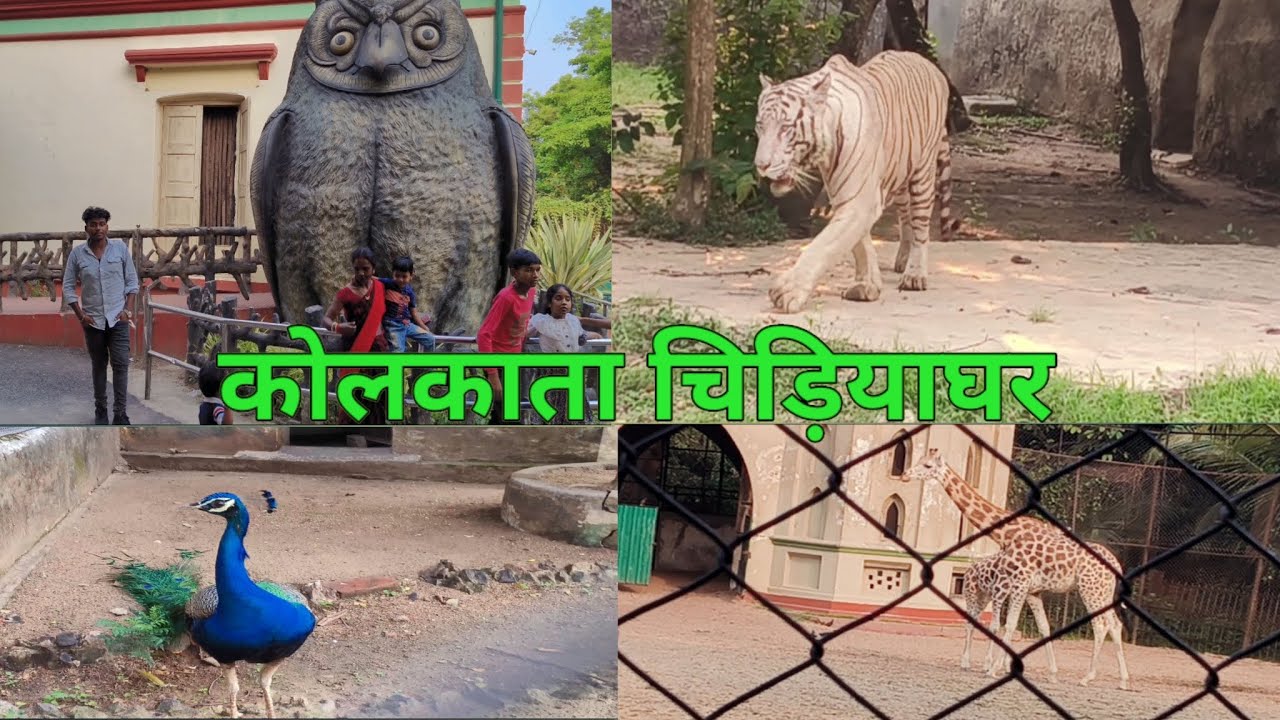 कोलकाता चिड़ियाघर || Kolkata Zoo ||Zoological Garden Alipore Bengal