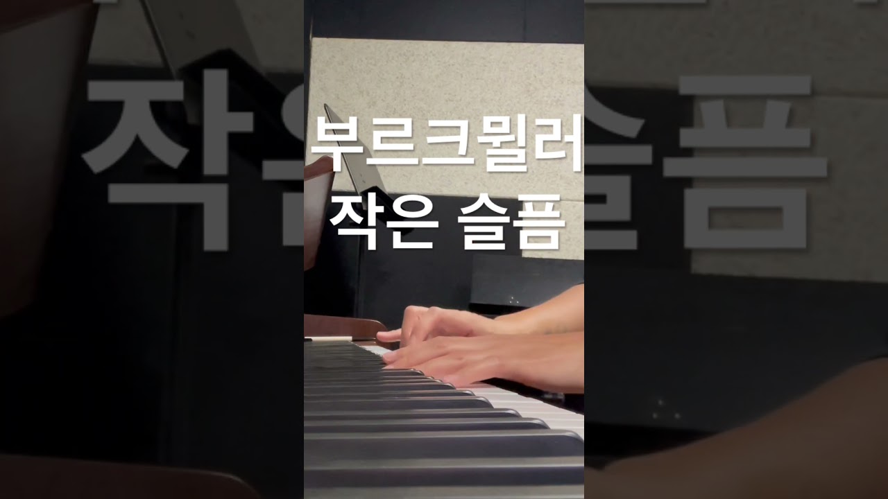 244일차 | 부르크뮐러 | 작은 슬픔