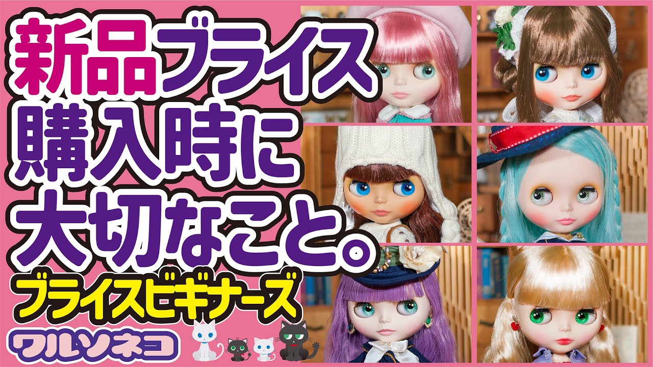 1026 グッスマ新品ブライスを買う時に重要な事と不具合交換の時に大事な事【ブライスビギナーズラジオ】