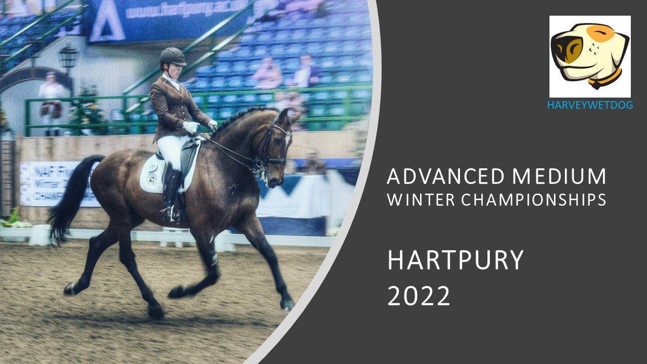 MORE GOLD; Becky Moody & Jack Diamond: 2ND PLACE ADVANCED MEDIUM GOLD DRESSAGE TEST HARTPURY 2022