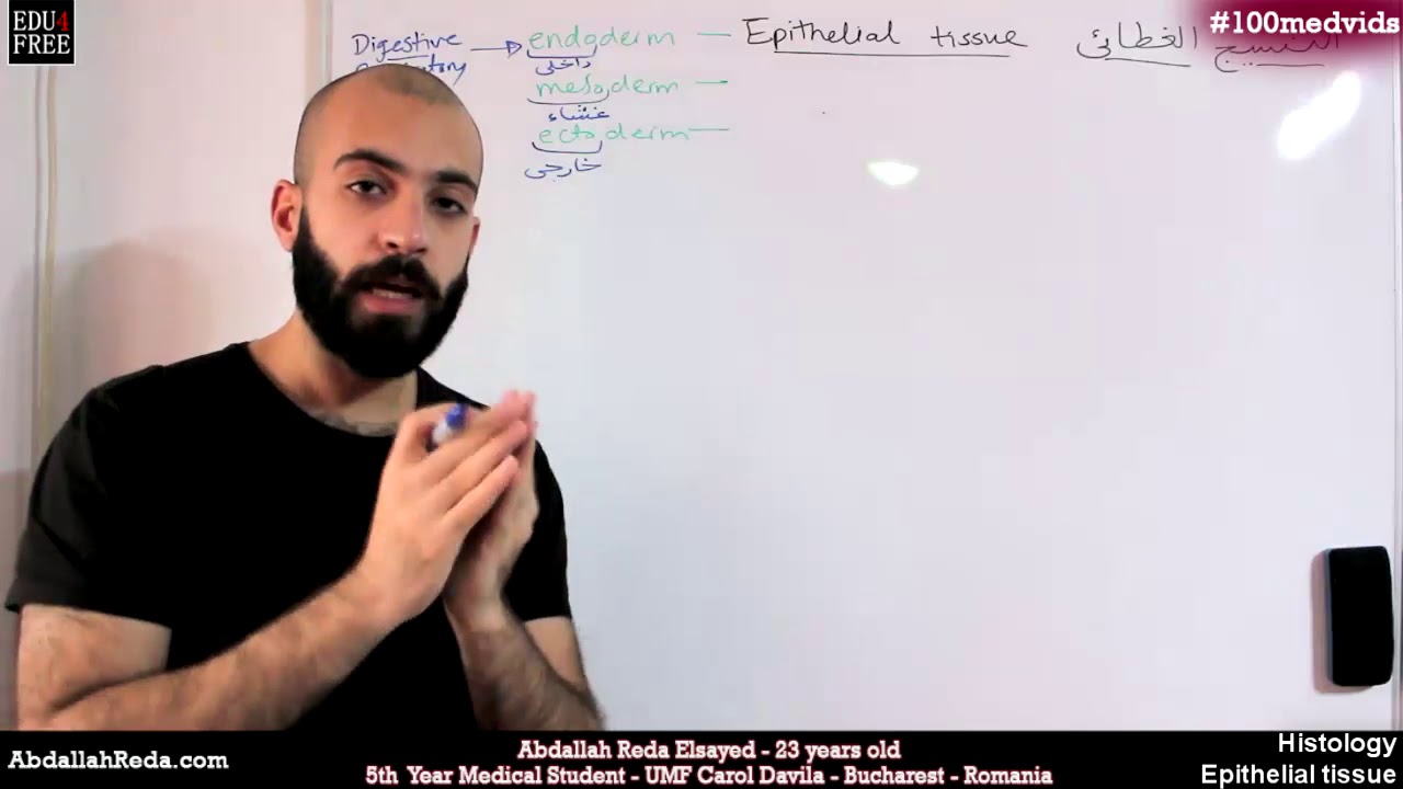 أصول النسيج الغطائي Epithelia tissue origins - عبد الله رضا MD | Rocademia روكاديميا