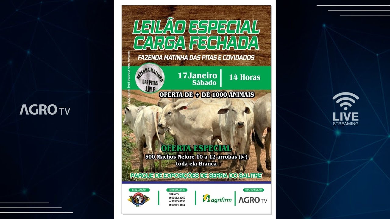 LEILÃO ESPECIAL CARGA FECHADA FAZENDA MATINHA DAS PITAS E CONVIDADOS - SERRA DO SALITRE - 17/01/2026