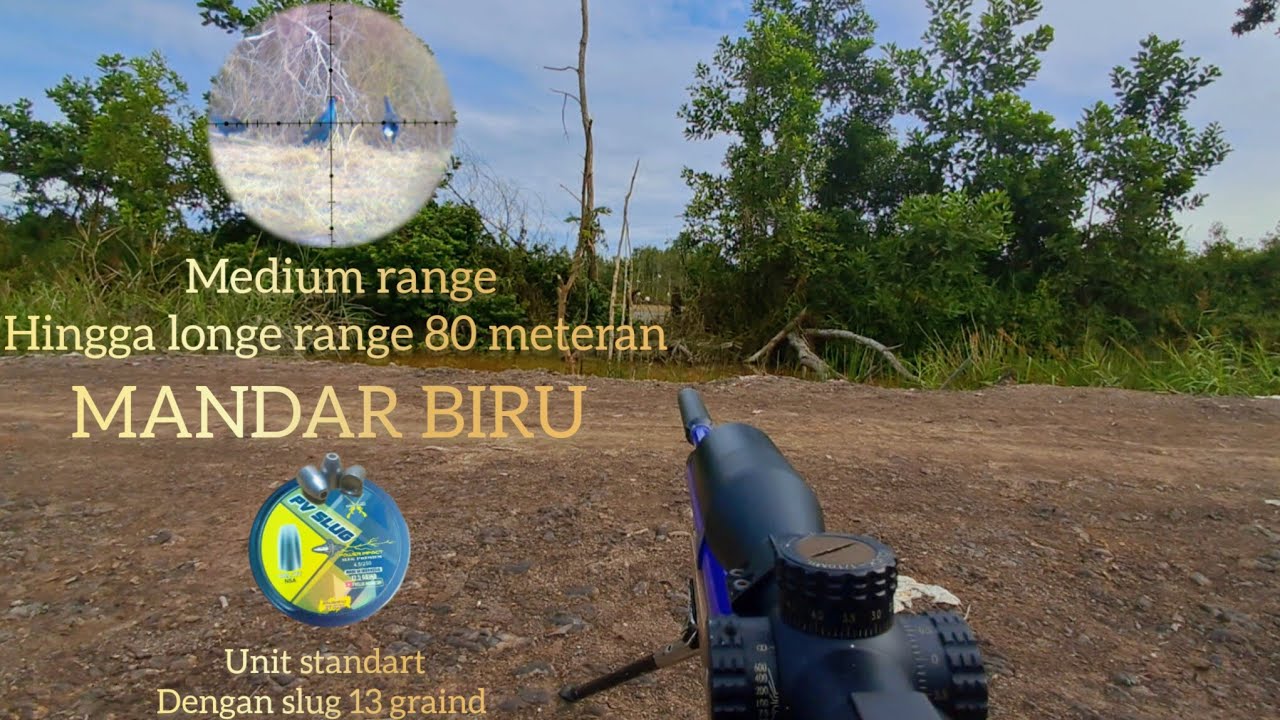 HUNTING PERDANA DI 2026 , berburu burung sawah poin mantab