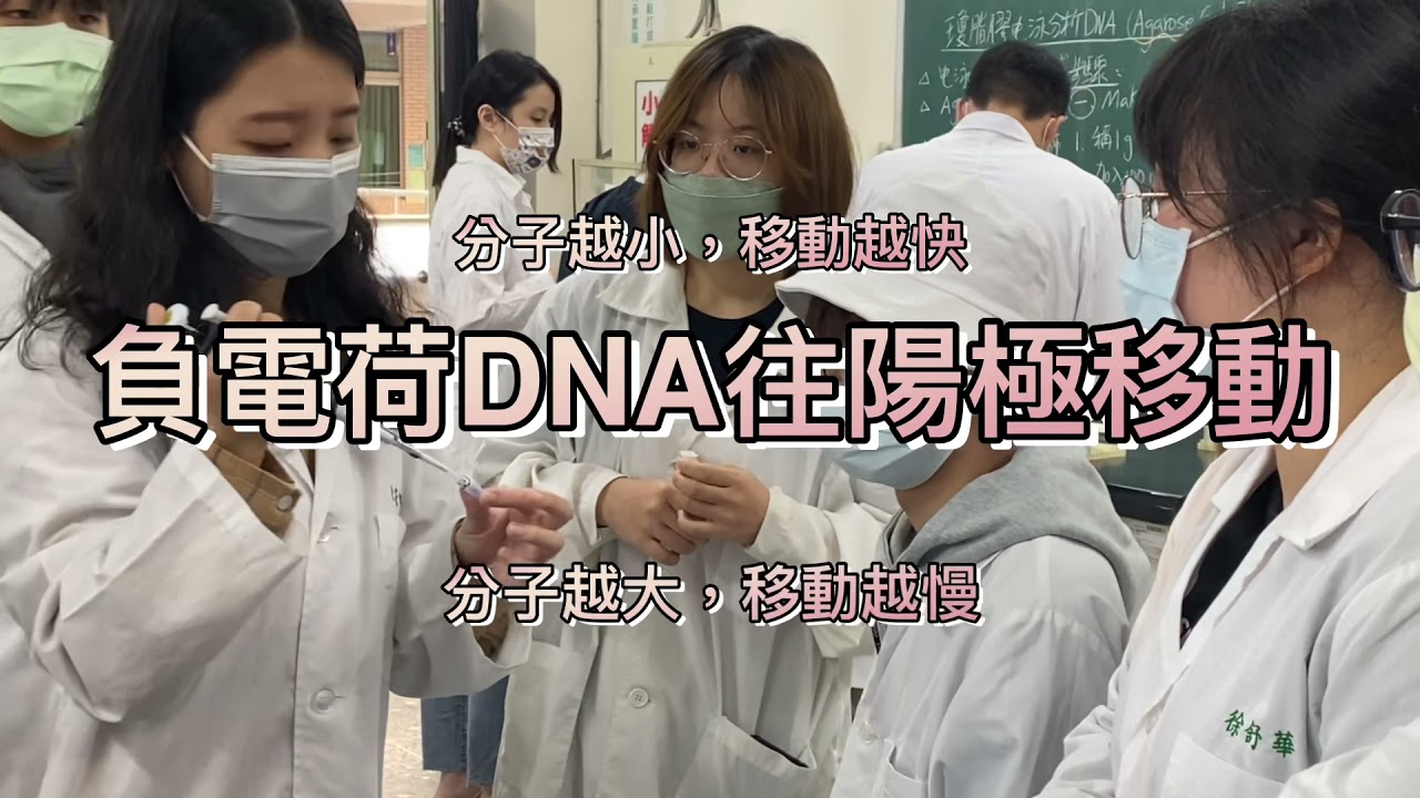 🌟中臺科大食品科技系都在學什麼？《DNA瓊脂膠電泳分析》-食品科技組