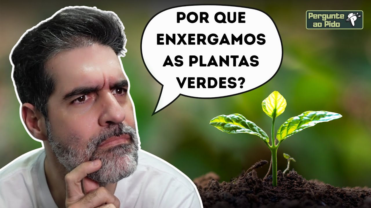 Por que as PLANTAS são VERDES? E outras perguntas... #PergunteaoPido 8