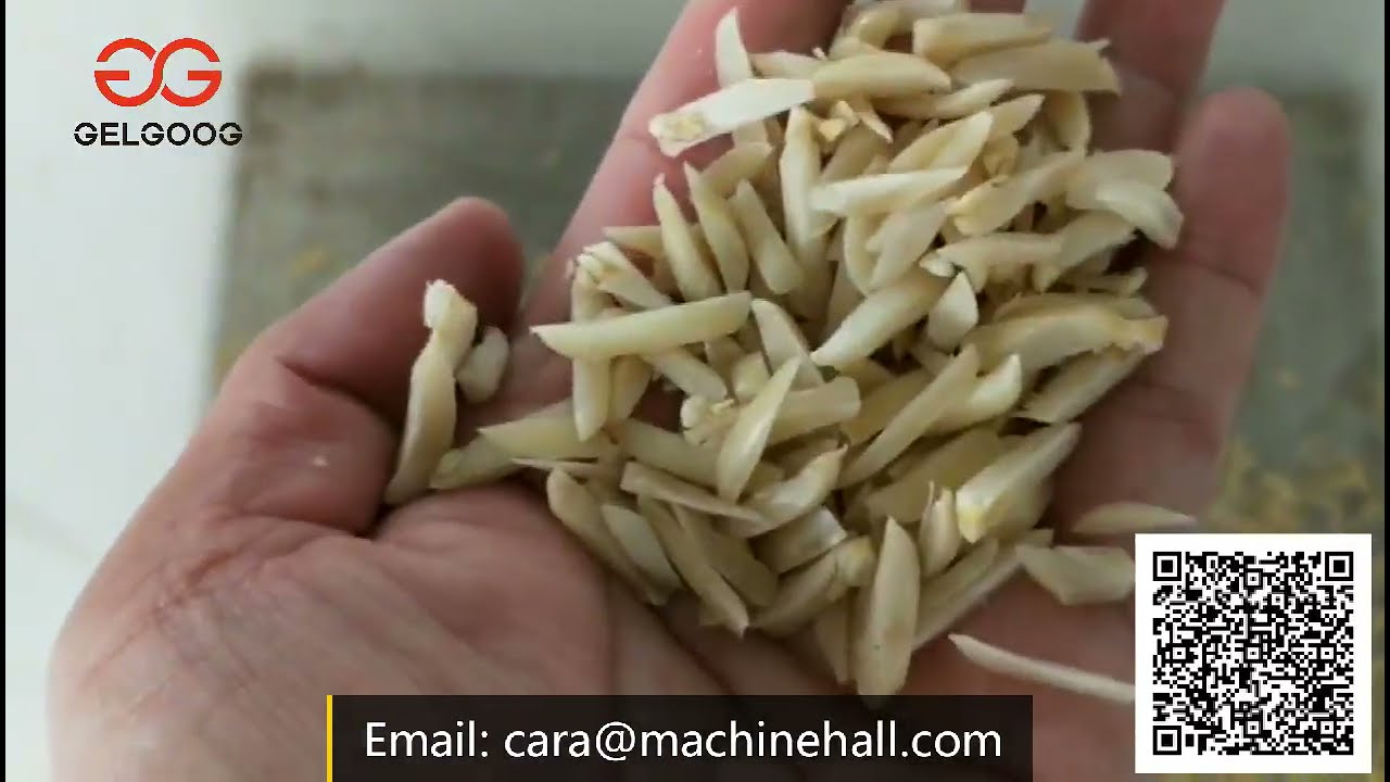Almond Badam Cutting Machine Test Video|Almond Slivering Cutting Machine
