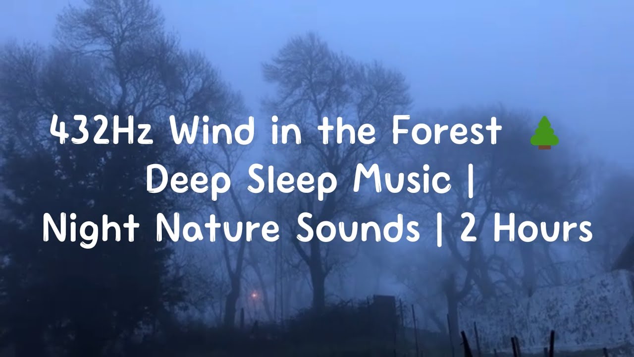 432Hz Wind in the Forest 🌲 Deep Sleep Music | Night Nature Sounds | 2 Hours