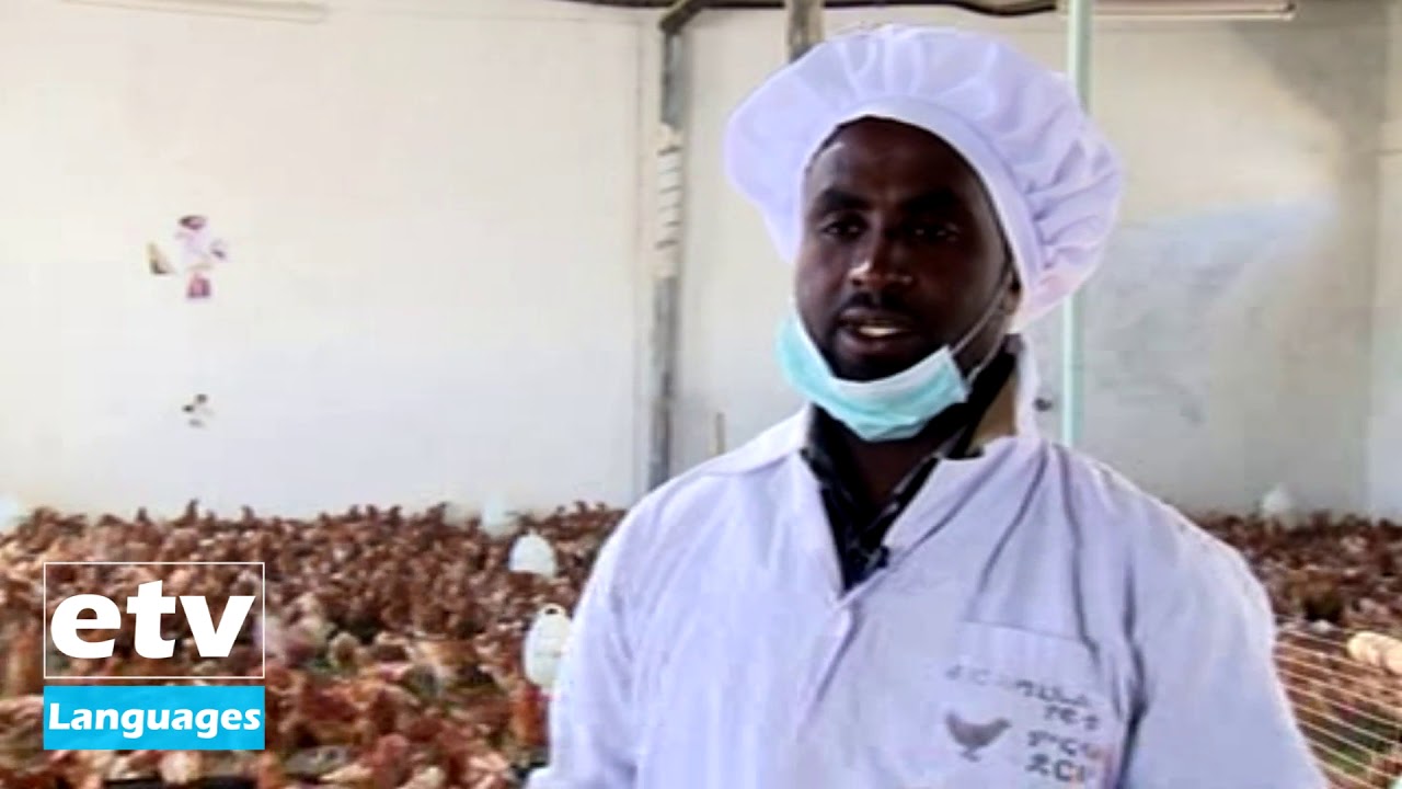 #EBC መናእሰይ ኣብ ዝተዋፈርሉ ዓውደ ስራሕ ዕድላቶም ተጠቂሞም ክነጥፉ ከምዝግባእ ኣብ ምርባሕ ደርሁ ዝተዋፈሩ ዶክተር ኣማኑኤል ሃፍቱ ገሊፆም፡፡