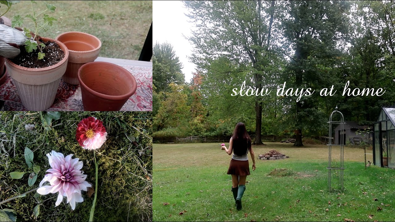 Slow Country Living I Autumn Baking I Dahlias in Bloom I New Scented Geraniums