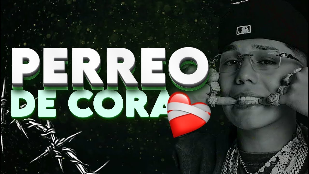 PERREO DE CORA - CarroSport