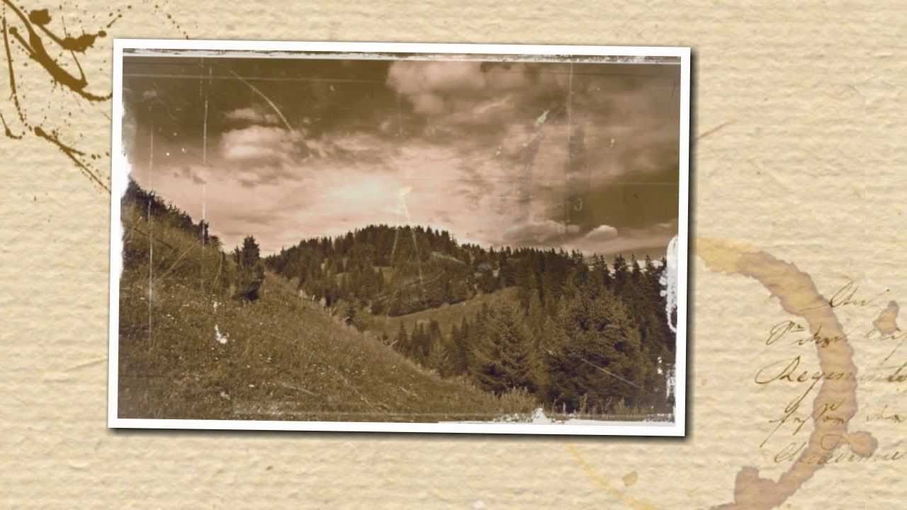Георги Петканов, с. Соколовци - Горице, ситна, зелена. Рожен 1961 г.
