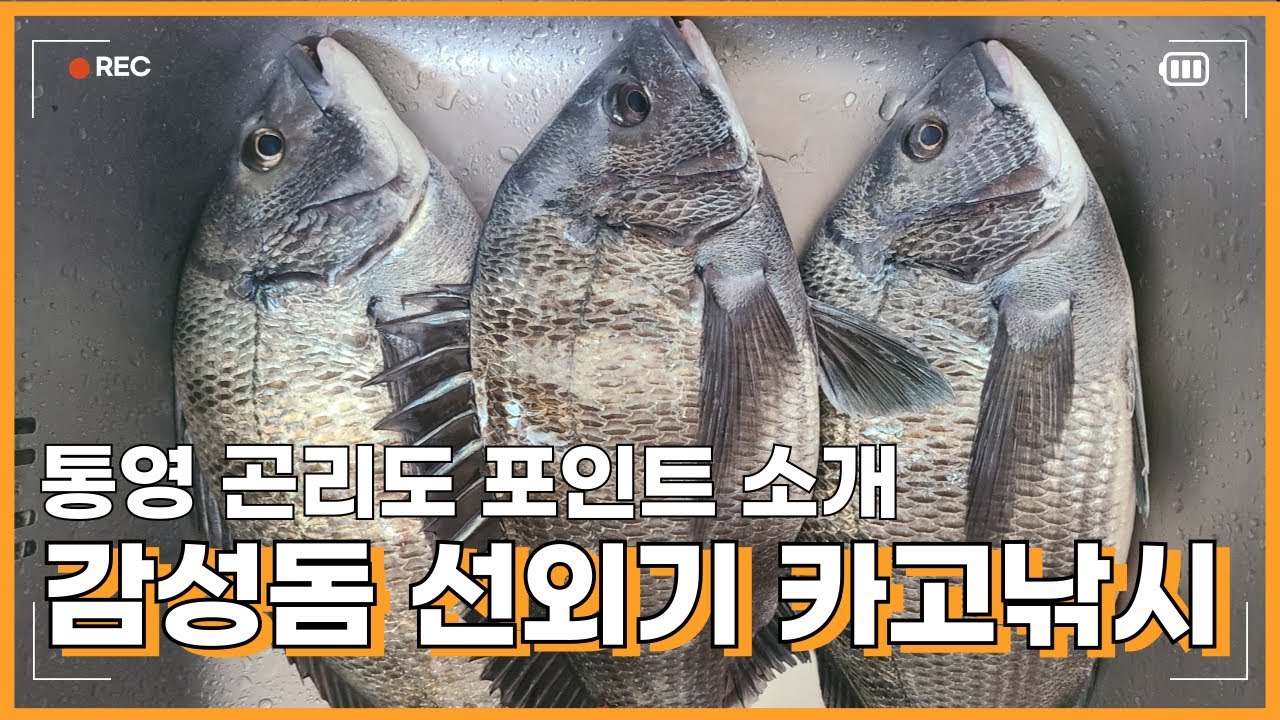 통영 곤리도 낚시 포인트 소개와 감성돔 선외기 카고 낚시