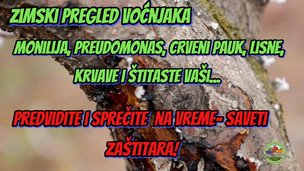 Svet voćarstva ep. 36 01.02.2025. Zimski pregled zasada na prisustvo bolesti i štetočina