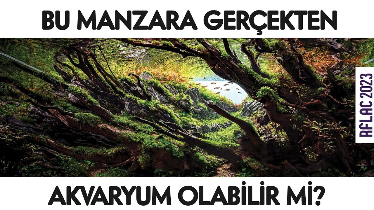 2023 | EN GÜZEL BİTKİLİ AKVARYUM TASARIMI YARIŞMASI | RFLAC 2023 Aquascaping Contest