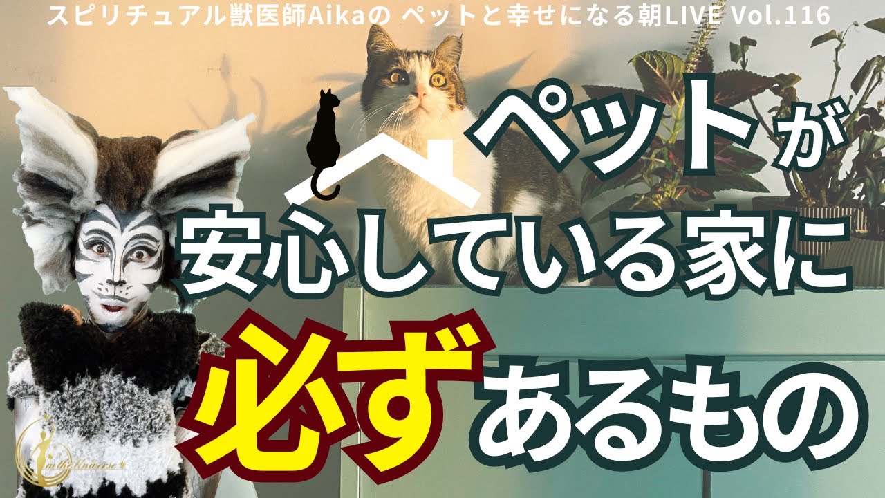 第116回　ペットが安心している家に必ずあるもの