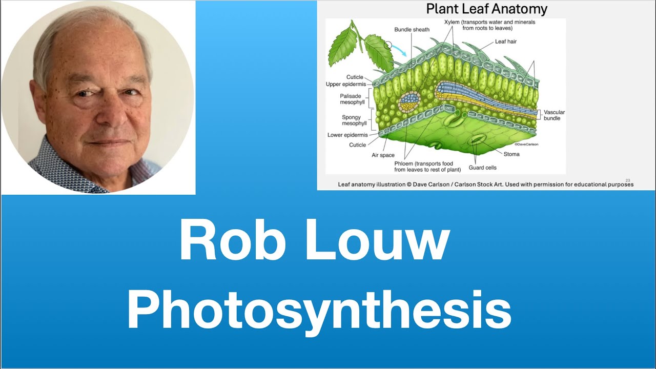 Rob Louw: Photosynthesis |  Tom Nelson Pod #355