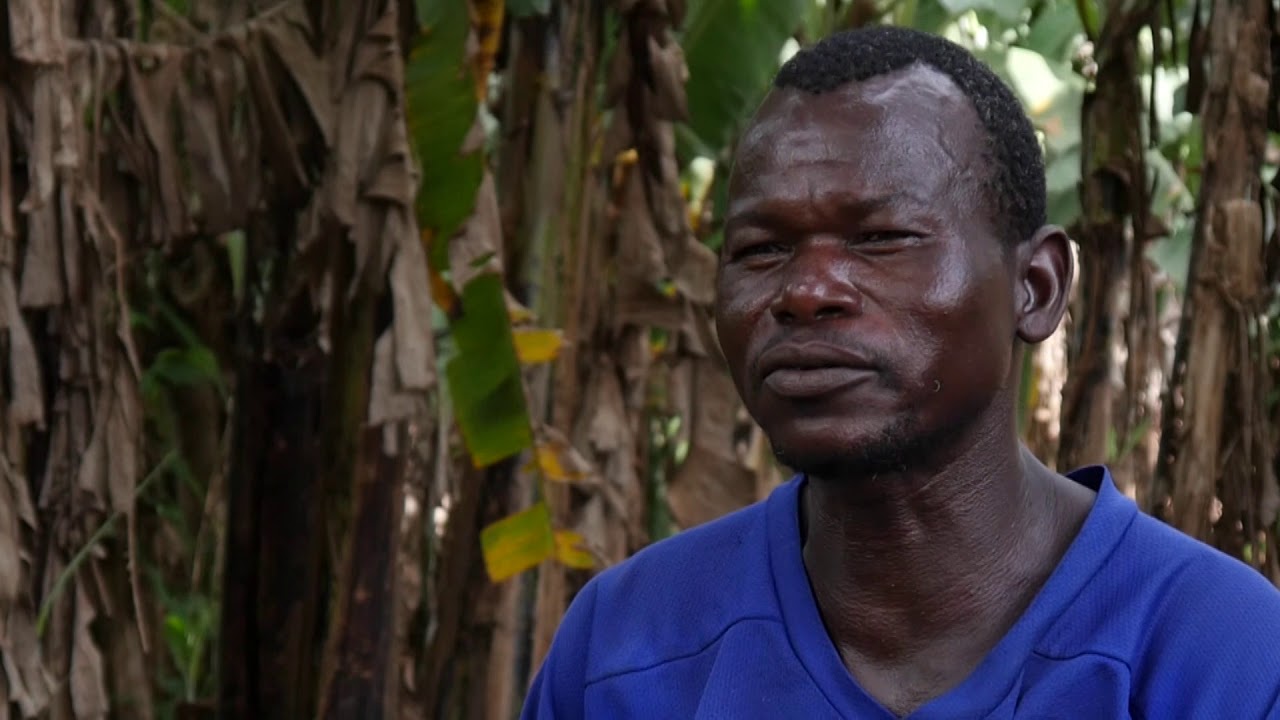 Tout savoir sur le projet haricot en République du Congo