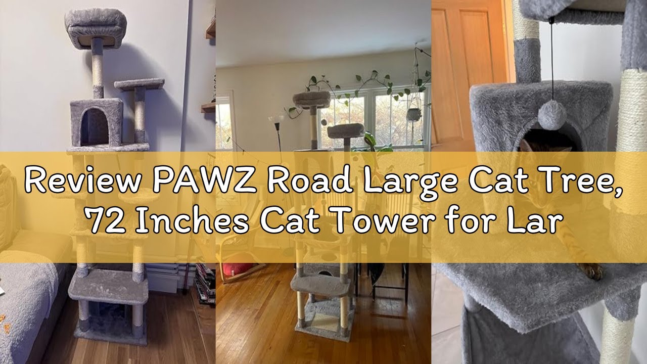 Review PAWZ Road Large Cat Tree, 72 Inches Cat Tower for Large Cats, Cat Condo with Sisal-Covered Sc