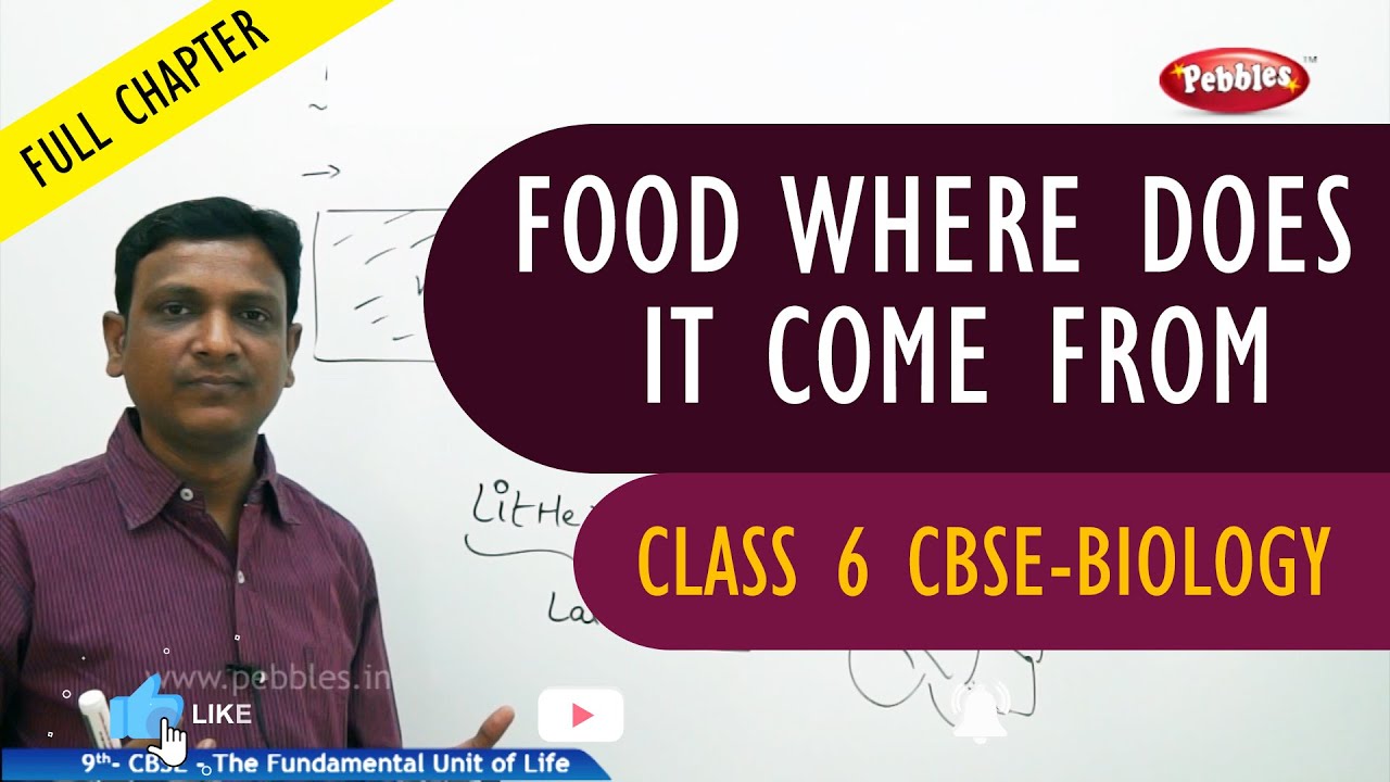 FOOD WHERE DOES IT COME FROM full chapter | Biology | Class 6 | CBSE Syllabus