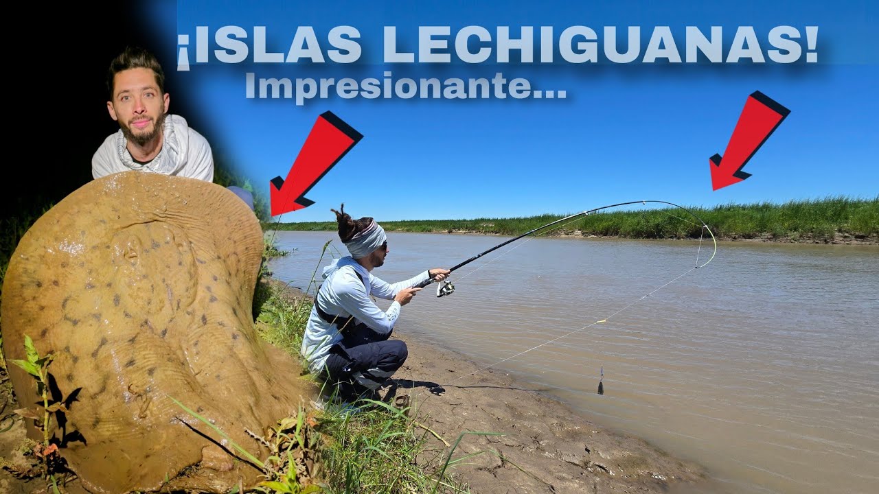 PESCON en las ISLAS LECHIGUANAS, PEZ DE MAS DE 20 KILOS y lo CHUZIO UN ZURUBI,  PESCA y AVENTURA.