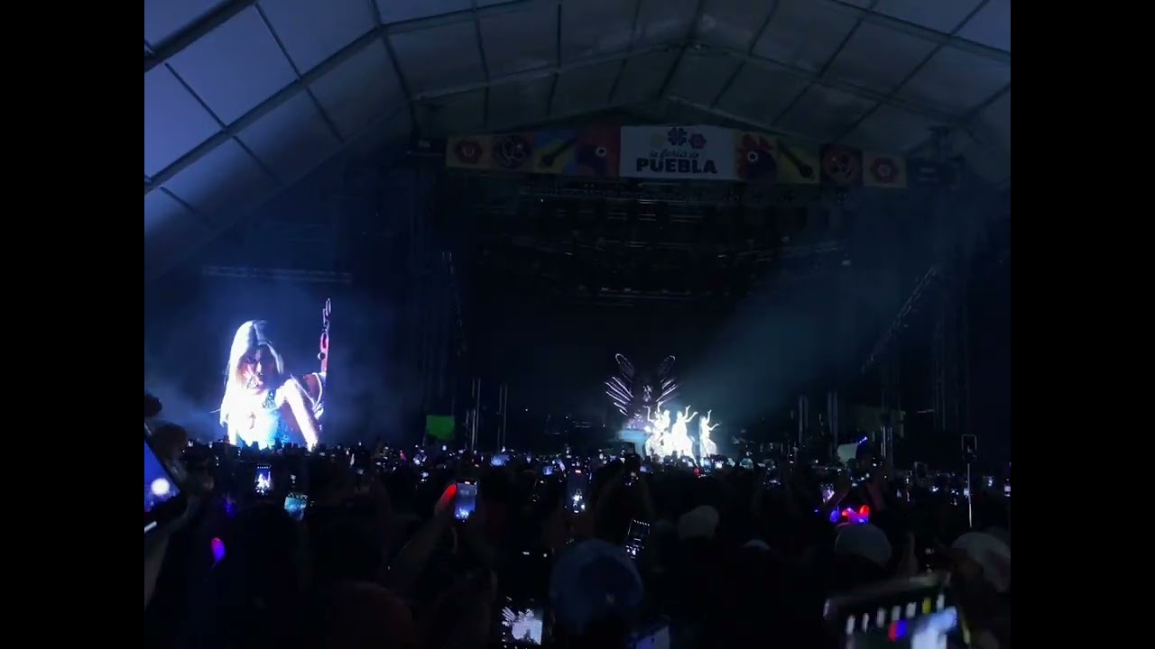 Pink Aura Tour 🐇🩷 (1/2)