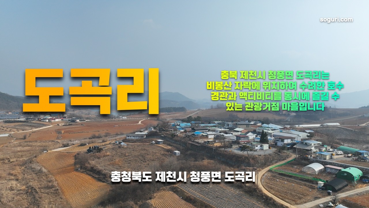 충북 제천시 청풍면 도곡리 마을 겨울풍경 - 20260215