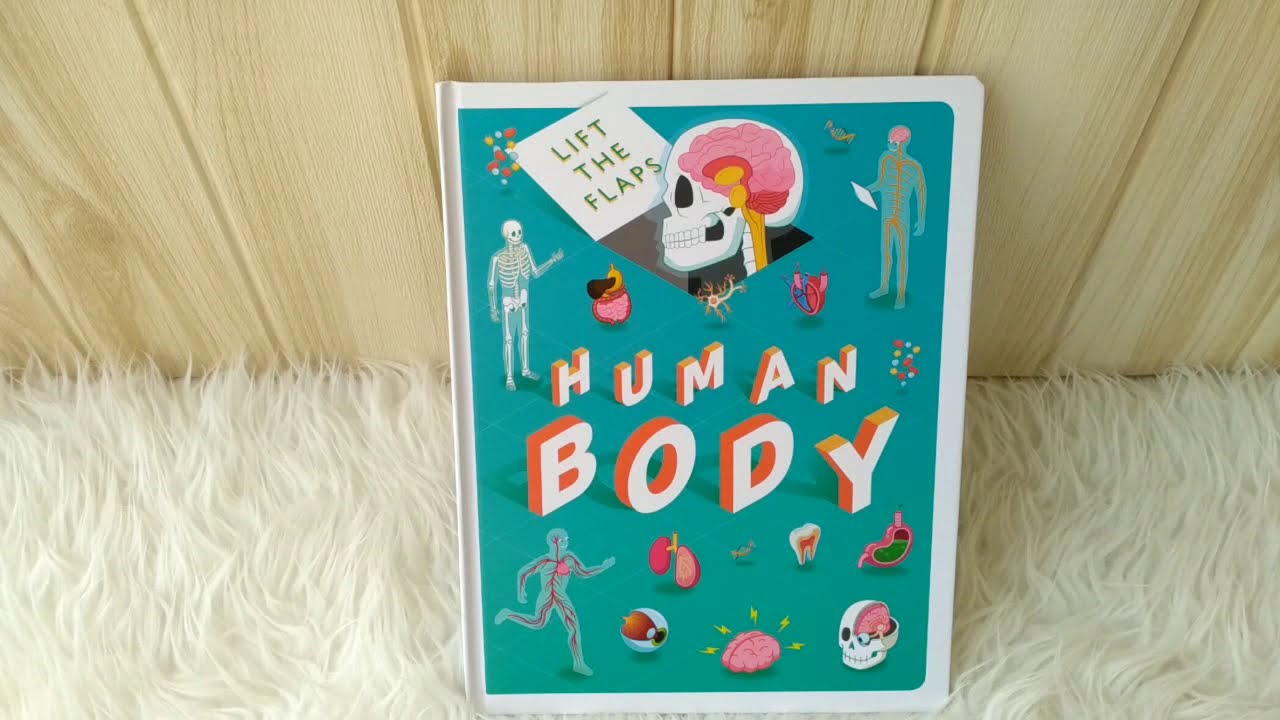 Lift The Flaps Human Body Board Book