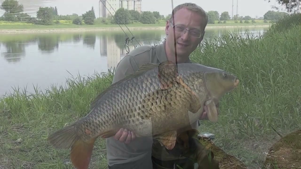 Rückblick auf 25 Jahre Elbe! Das Video vom Vortag! 