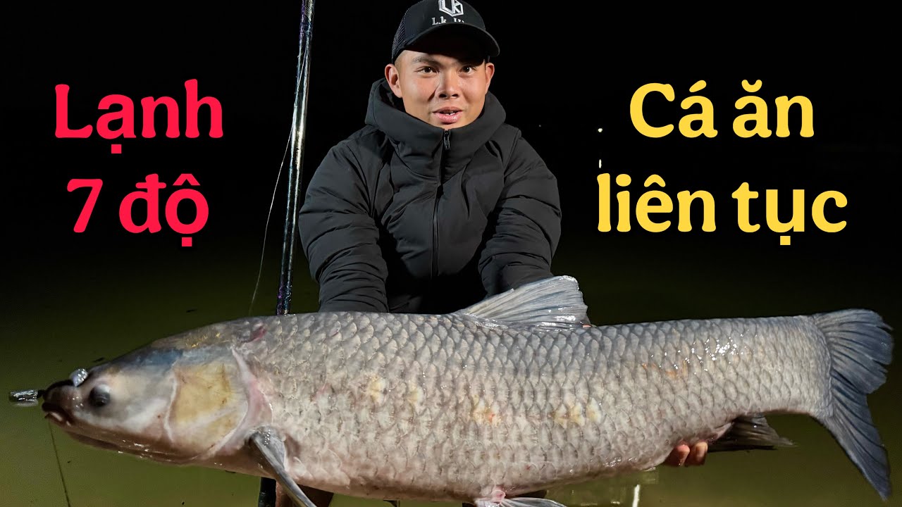 Câu Đêm Trong Thời Tiết Giá Rét 7 Độ