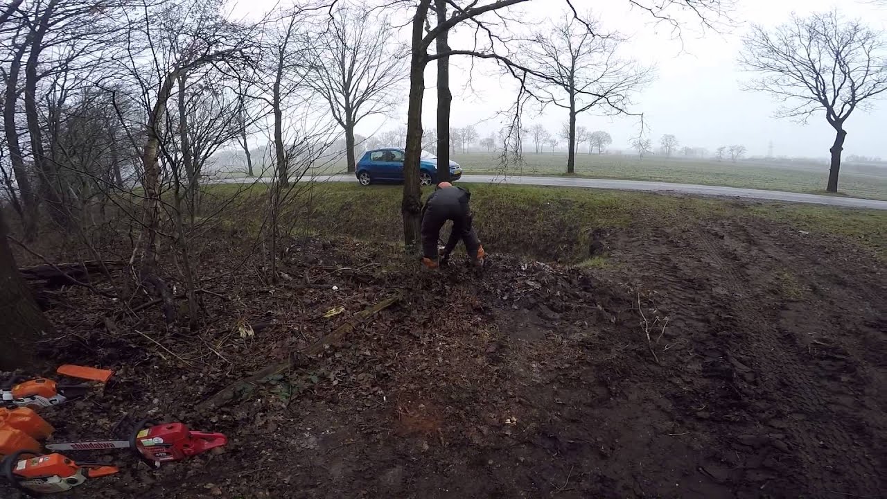 GoPro#Stihl#MS340