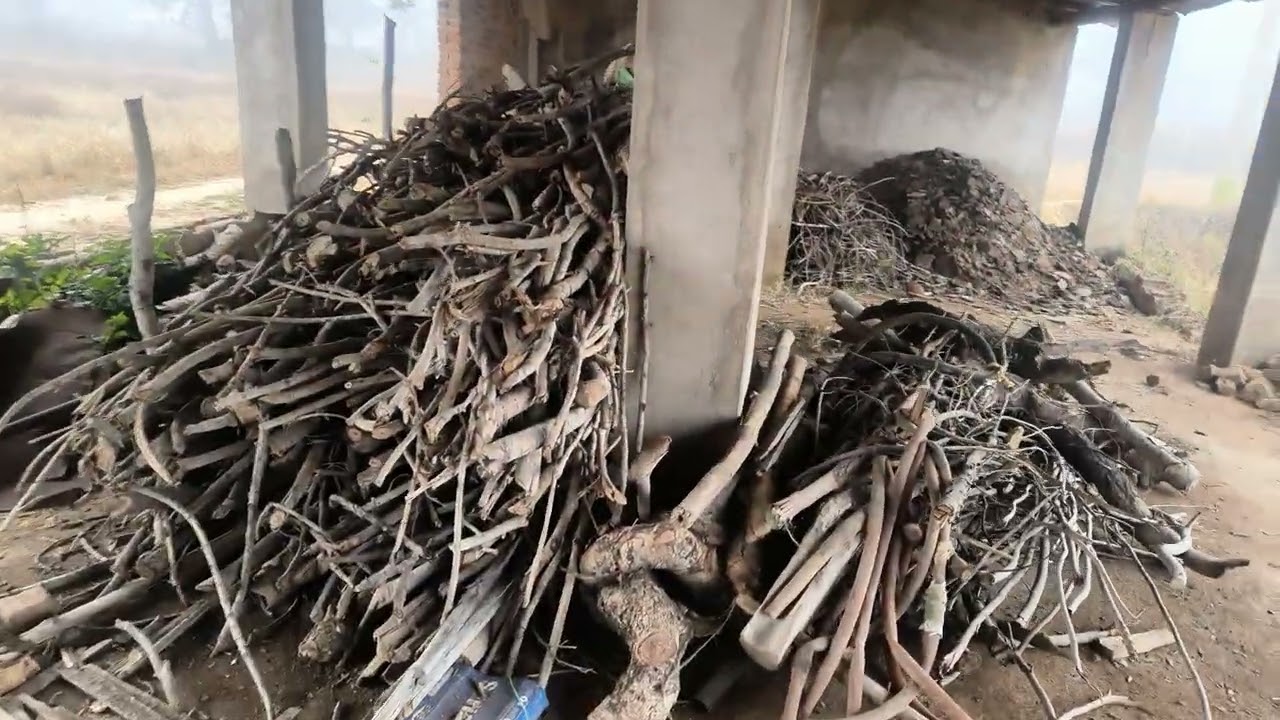 Pura Gao Me Aaj Bahut Dhuaa Dhuaa #viral #vlog #winter #morning #mountains #youtube #fire #gaon #hva