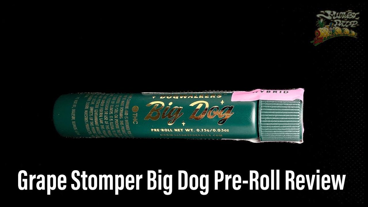 Grape Stomper Dogwalker Pre-Roll Review