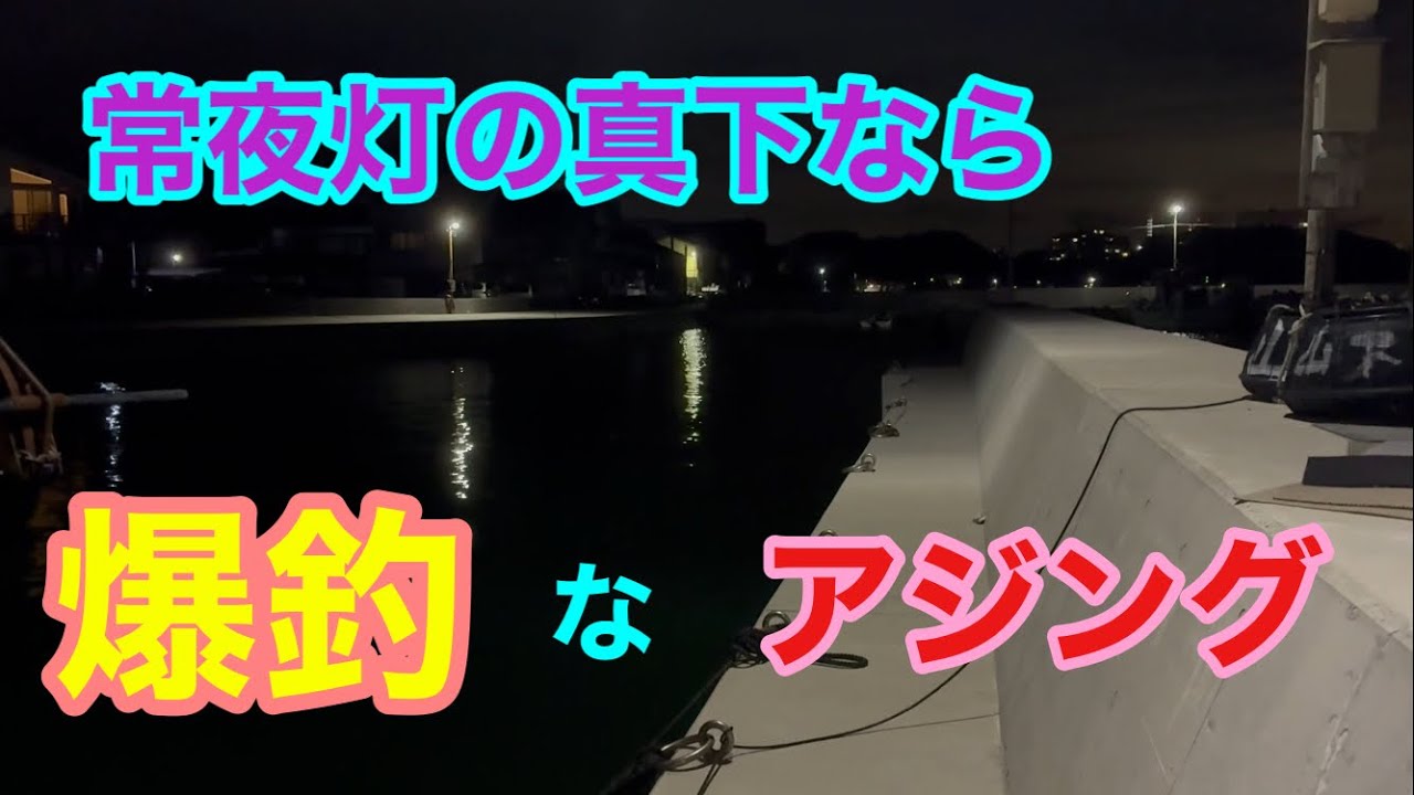 常夜灯の真下なら爆釣なアジング 知多半島 知多湾