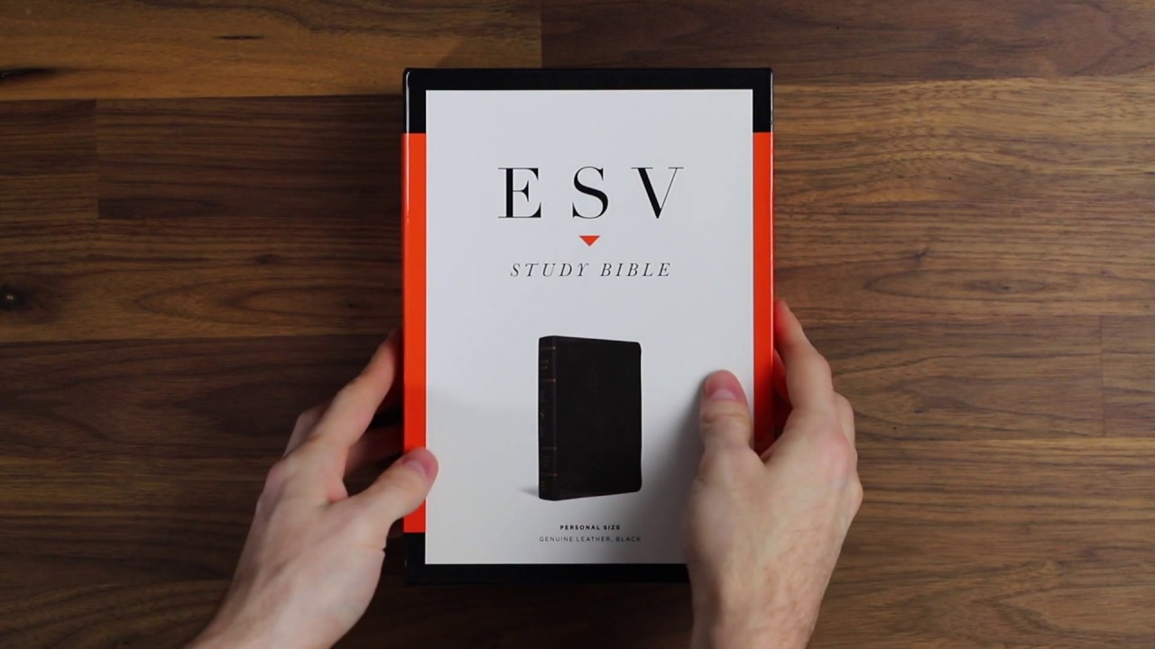 ESV Personal Size Study Bible Genuine Leather, Black Review