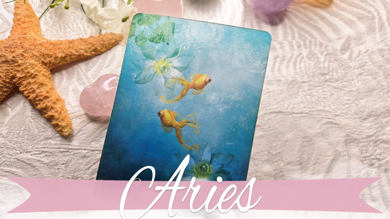 Aries - The new person is confident about their feelings & what they want!