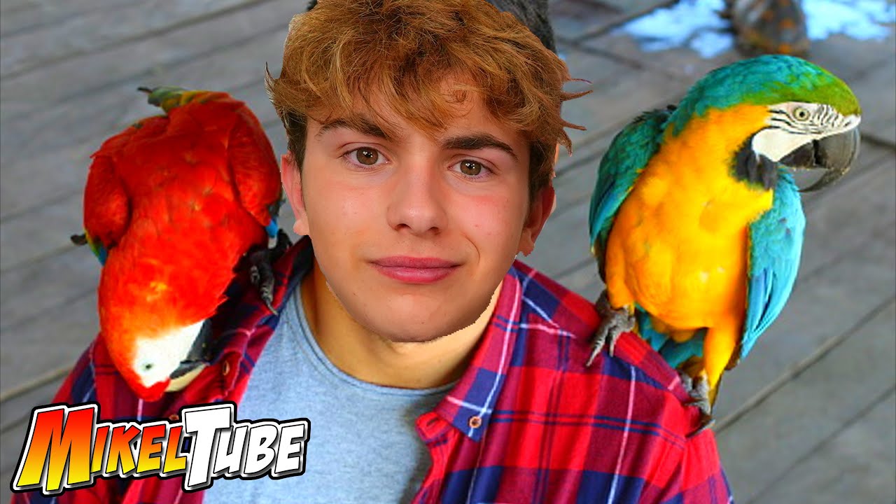 Mikel Por El Loro Parque