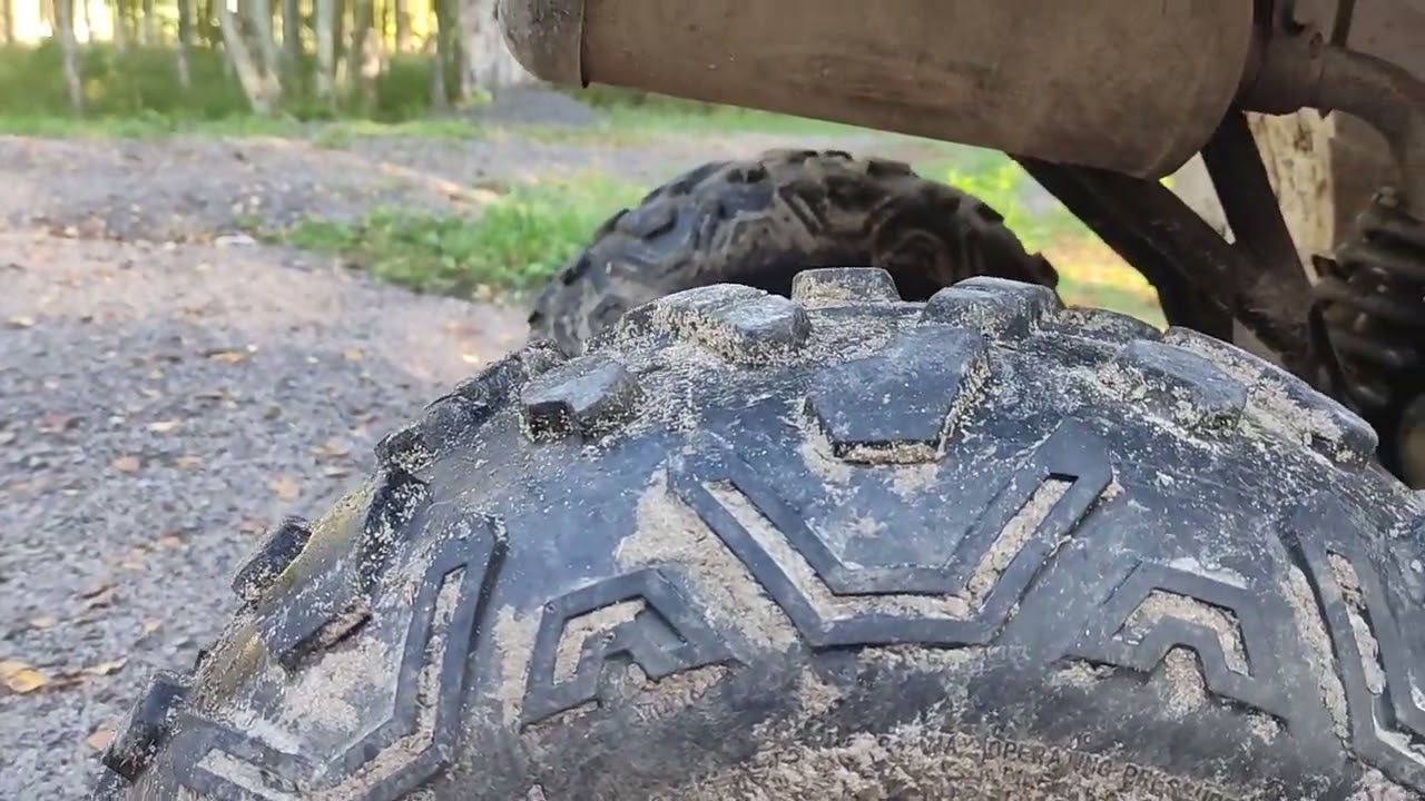 Sharmaks hummer 300 продолжает умирать