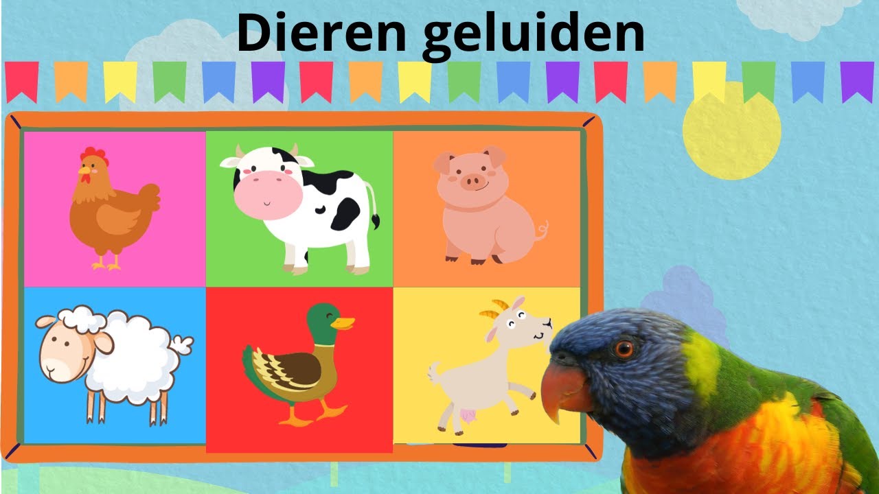 12 Dierengeluiden op de Boerderij ☆ Nederlandse kinderfilmpjes voor baby's, peuters en kleuters ☆