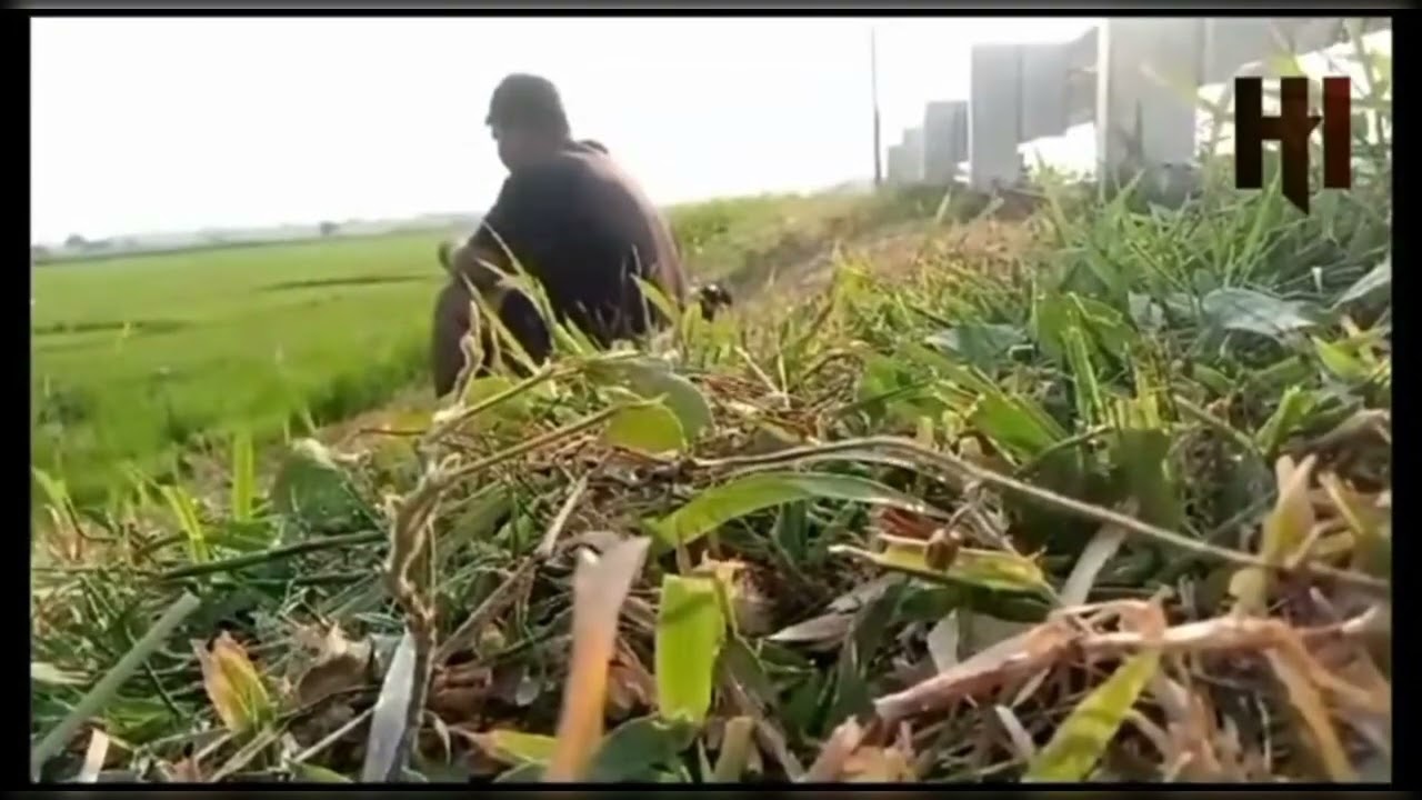 Mangsa Bodo _Detty Kurnia