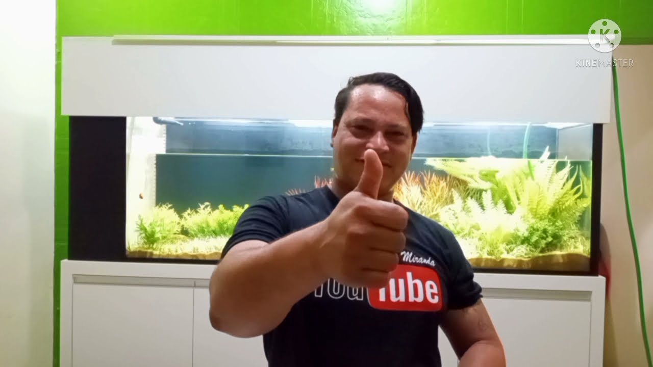 tirando duvidas sobre bicarbonato de sódio nos aquários