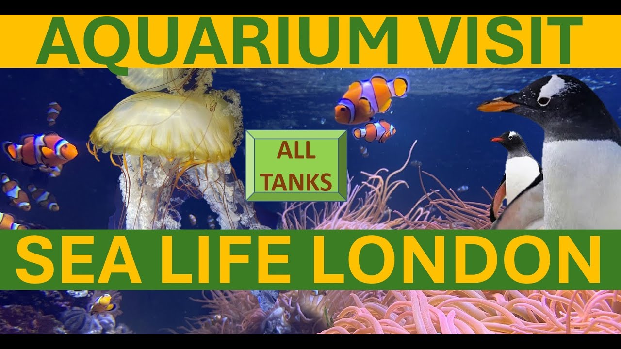 Экскурсия по всем аквариумам в океанариуме SeaLife London.